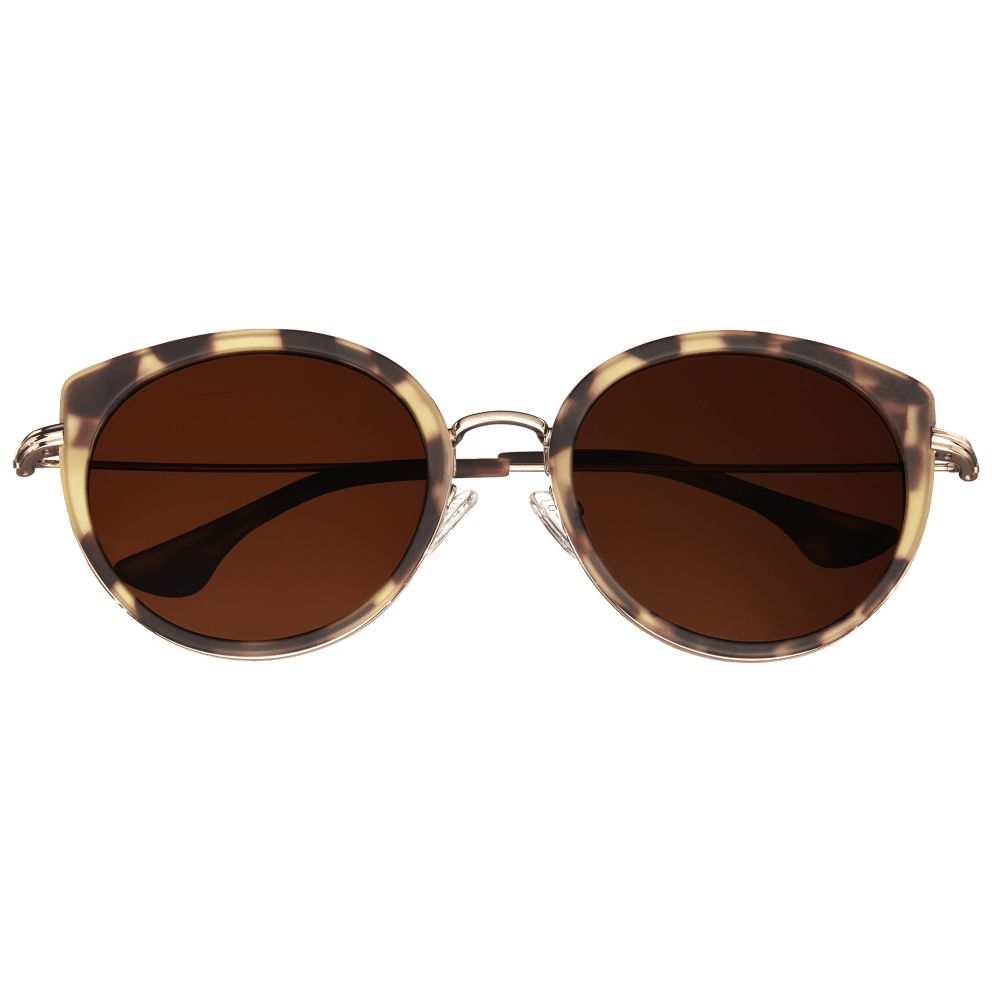Tortoise/Brown