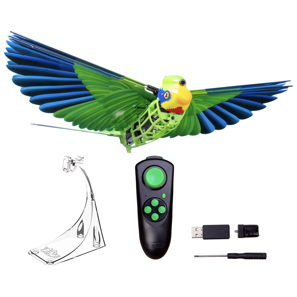 Parrot