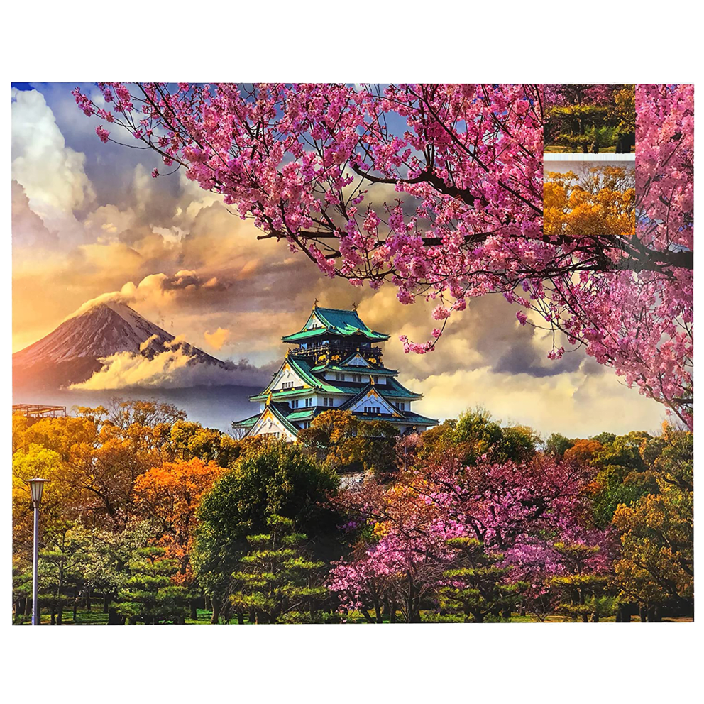 Japan In Bloom