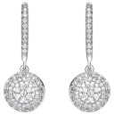 Beautiful Drop Earrings