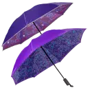 Purple Plum & Inspirational Purple