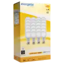 24-Pack - A19 5W 3000K