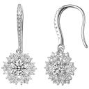 Elegant Hook Earrings