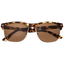 Brown Tortoise/Brown