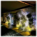 All-weather projector features a mix of warm, cool, and true white