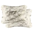 Gradient Gray