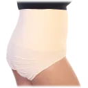 Angelina Seamless Shaper Briefs Plus Size