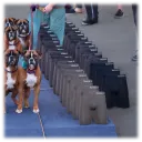 My AI review: Nice pun with the dogs, but the repetition is crumbling.