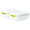 White/Citron