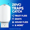 Traps fruit flies, gnats, house flies, and more with blue and UV light attraction