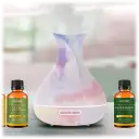 Type:  Diffuser (Only)