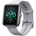 Gray/Silver