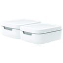 White/Gray