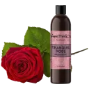Tranquil Rose