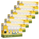 24-Pack - A19 8.5W 5000K