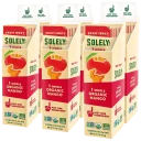Solely Organic Mango Fruit Jerky