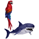 Macaw & Shark