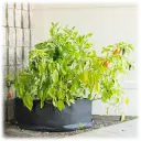 30 gallon