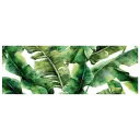 Green Leaves