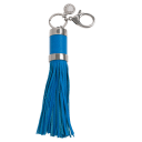 Blue Iris