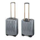 Platinum Carry-On