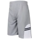 Gray with Black Stripe