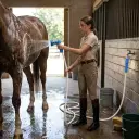 Guess our movie reference in the forum.