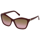 Bordeaux/Other/Gradient Brown