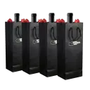 4 gift bags included with each case (2 for 6-pack)