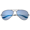 Black/Blue