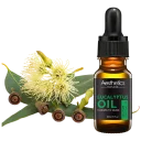 Eucalyptus