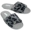 Blue/Gray