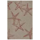Red Starfish Constellation