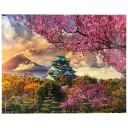 Japan In Bloom (500 pieces)