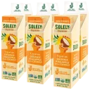 Solely Organic Pineapple With Coconut Fruit Jerky