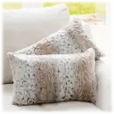 Snow Leopard