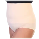 Angelina Seamless Shaper Briefs Plus Size