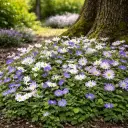  Available in two colors