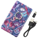 BACK SIDE - Blue and Paisley