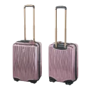 Rose Quartz Carry-On