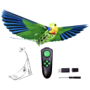 Parrot