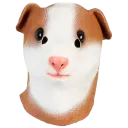 Guinea Pig