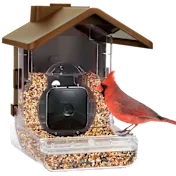 Wasserstein Bird Feeder Smart Camera Case Compatible with Ring, Blink & Wyze Cam
