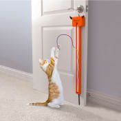 The Award Winning Cat String Toy