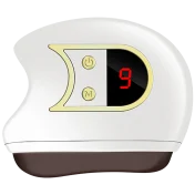 The Electric Gua Sha Facial Sculptor