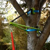 The Instant Tree Branch