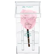 The "Happy Birthday" Rose in Pink