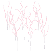 The Candy Cane Striped Holiday Picks