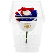 The Stemmed Stars & Stripes Preserved Rose