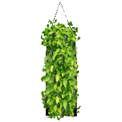 Touch Of ECO Organic Hanging Seed Bag With Soil Block Kit